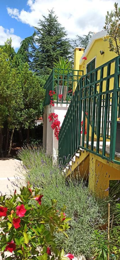 Apartments Vukovic Stari Grad  Εξωτερικό φωτογραφία